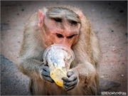 _DSF8684 (Copy)